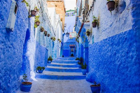 쉐프 샤우 엔을 탐험하는 네 가지 방법 여행 2023>모로코의 푸른